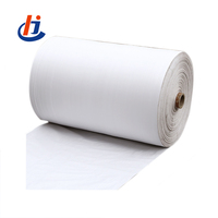 Tissu tissé PP vierge blanc neuf Hougu pour FIBC, pliage en M, résistant aux UV, laminé PE, facteur de sécurité 5:1, emballé en rouleau