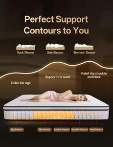 Leerle White Queen Matelas hybride 10 pouces-Ressorts ensachés en <span class=keywords><strong>mousse</strong></span> à mémoire de forme 100% coton Housse anti-pression Bordure d'isolation de mouvement - Product Image 6