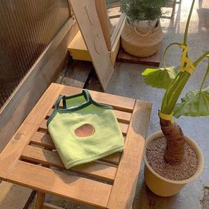 Ropa para Perros y Gatos: Camiseta sin Mangas Fina de Primavera Otoño con Diseño de Oso Adorable, Estilo Miyok Xia Shanari - Product Image 2