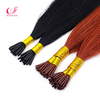Extensions de cheveux naturels Remy vierges pré-collées, 100 % cheveux humains, double épaisseur, pointe en I, qualité chinoise 12A, couleur personnalisable