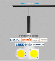 Rail de suspension magnétique pour lampe suspendue, luminaire de plafond intelligent Tuya 48V Dimmable 3000K 4000K 6000K Cob noir