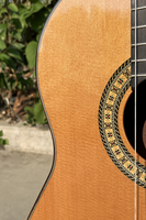 Aiersi All Solid Rosewood Classical Guitar with Maple Inlaid , High Grade Luthier-made Nylon String Guitar
