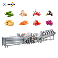 Industriële uienwasser, prei-reinigingsmachine, kiwi-reinigingsmachine, reinigingslijn voor vers fruit en groenten