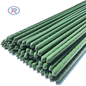 Poste de Soporte de Plástico para Viñedos de Acero de Alta Calidad para Jardín, 120 cm, Gran Venta - Product Image 3