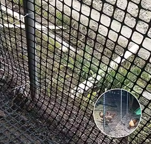 Сетка для курицы из полиэстера - Product Image 2