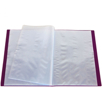 Carpeta de archivos de plástico de diseño personalizado, libro de exhibición de PP transparente