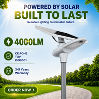 Contrôleur MPPT semi-intégré 4000LM pour lampadaire solaire avec capteur de mouvement, indice de protection IP65, construction en aluminium LED, extérieur, conforme RoHS