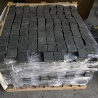 Pavés en granit noir absolu de style chinois moderne pour applications extérieures