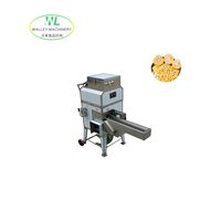Aangepaste industriële automatische fruit- en groenteschiller/snijmachine van roestvrij staal 304, capaciteit 700 kg/uur voor commercieel gebruik