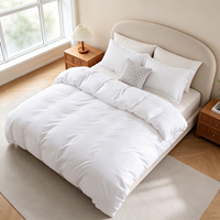 Housse de couette matelassée en microfibre de polyester couleur unie lavée, personnalisable OEM/ODM, ensemble 3 pièces, doux pour la peau, ensemble de literie unie