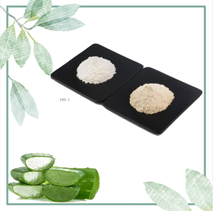Aloe Vera Nettoyant Visage Matière première 100X 200X Poudre d'extrait d'Aloe Vera <span class=keywords><strong>Gel</strong></span> d'Aloe Vera Poudre lyophilisée - Product Image 1