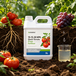 15-15-30 <span class=keywords><strong>NPK</strong></span> <span class=keywords><strong>Engrais</strong></span> rapide pour tomates et raisins 30% Potassium pour fruits plus gros, couleur plus riche, teneur en sucre améliorée, longue durée de conservation - Product Image 6