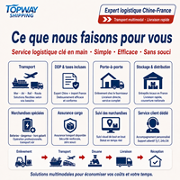 Luftfracht-Agent Spedition aus China 20GP Logistik Seefracht-Spediteur von China nach Frankreich