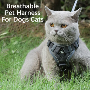 Arnés para <span class=keywords><strong>Gatos</strong></span> Rarewe, Fabricante de Conjuntos de Arneses para <span class=keywords><strong>Gatos</strong></span>, Logotipo Personalizado, Reflectante, Transpirable, Sin Estrangulamiento, Ajustable, Sin Tirones - Product Image 2