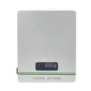6000 Cycles 48V 51.2V Lithium Ion Lifepo4 Battery Peak 48V 100Ah 5Kwh Wall Mounted Type Solar Panel Batteries Pack System