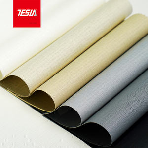 Store moderne de protection solaire de <span class=keywords><strong>jardin</strong></span> extérieur de haute qualité, étanche aux UV, store enrouleur en fibre de polyester électrique vertical minimaliste - Product Image 2