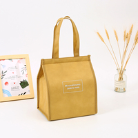 Sac à dos isotherme rayé en non-tissé KS, étanche avec fermeture éclair – Durable pour pique-nique, activités de plein air, grande capacité alimentaire