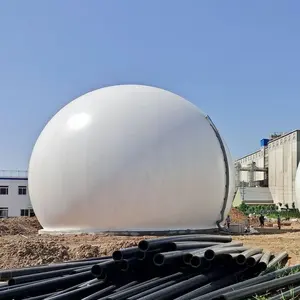 Qingdao HaiYue Fábrica de membrana dupla balão de biogás biogás digestor secador de biogás para planta de bower
