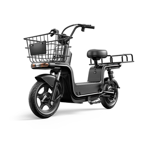Motor Paige para Bicicleta Eléctrica de Largo Alcance, 800 Vatios, 2 Plazas, Motocicleta Todoterreno - Product Image 4