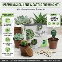 Pots de pépinière, étiquettes pour plantes, hydromètre pour le sol, accessoires de jardinage extérieur, kit de germination pour herbes et semis