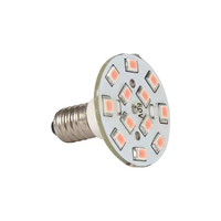 Iluminación LED para Parques de Atracciones, Tipo Pixel Point Light E10 E14 IP44 SMD2835, 16 LEDs, 60v 220v, para Carruseles y Parques Temáticos
