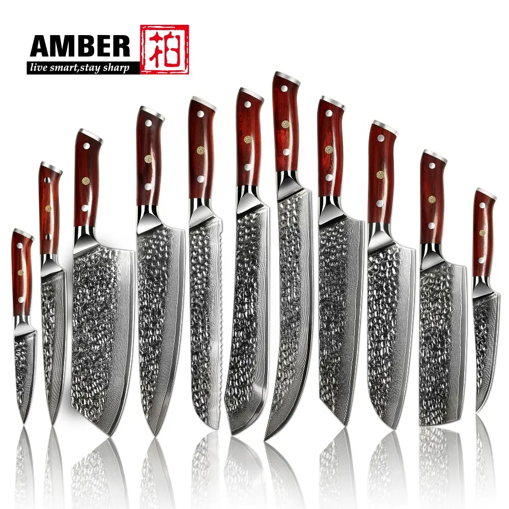 Ambra professionale coltello da cucina Set giapponese VG10 67 strati in acciaio damasco coltelli da cucina coltello da cucina Set di manico in legno