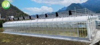 Serre agricole/commerciale, serre Venlo, serre en verre, serres agricoles en polycarbonate à vendre