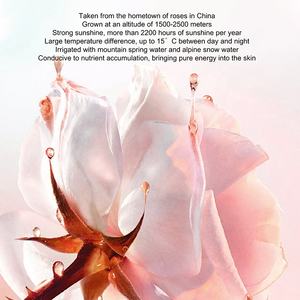 Ensemble de soins de la peau O'KADY Pearl Essence 7 pièces |   Kit de beauté éclaircissant, raffermissant et hydratant |   Ensemble de soins anti-âge pour le visage complet - Product Image 2