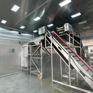 Congelador de lecho fluidizado de alta eficiencia para <span class=keywords><strong>verduras</strong></span> y frutas <span class=keywords><strong>IQF</strong></span> - Product Image 1