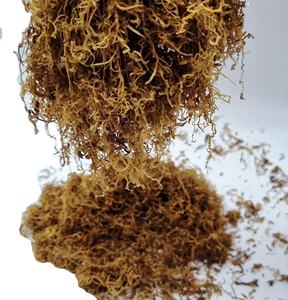 สมุนไพร100% ผสมสมุนไพรสำหรับแท่งผสมสมุนไพรทองคำได้รับการอนุมัติให้เลือกใช้สมุนไพรกลิ้งผสมสมุนไพร - Product Image 5