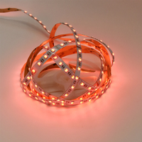 Bande LED RVB pleine couleur SMD 5050/3528, adressable RVBW, 14W/m, bande lumineuse intelligente, prise en charge de la télécommande