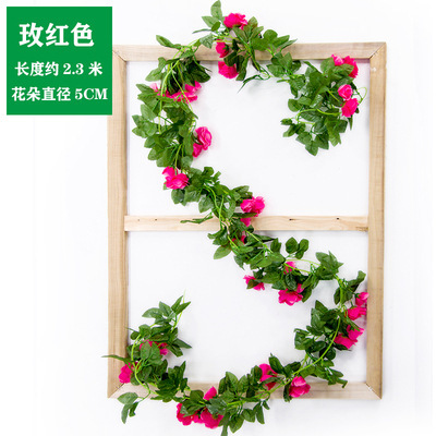 1 barre de 20 roses françaises (magenta)