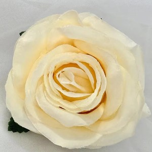 <span class=keywords><strong>Rosas</strong></span> Frescas Recién Cortadas Directamente de la Granja, <span class=keywords><strong>Rosas</strong></span> de Raíz Desnuda, Suministro Directo de Productores, Tacto Natural, Día de San Valentín, Acción de Gracias - Product Image 3