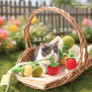 <b>Cat</b> Puzzle <b>Toy</b> Plush Fruit Vegetable Boredom Buster For <b>Cats</b> <b>Interactive</b> Playtime Fun - Product Image 2