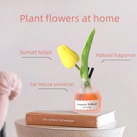 Private Label Reed Diffusor Stick Flasche Geburtstags kerzen Luxus Reed Diffusor Sets mit Verpackungs box