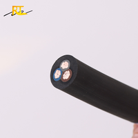 RUITINN Câble et fil électrique de pompe 3x10mm 3x25mm 3x16mm Câble en caoutchouc d'alimentation secteur étanche