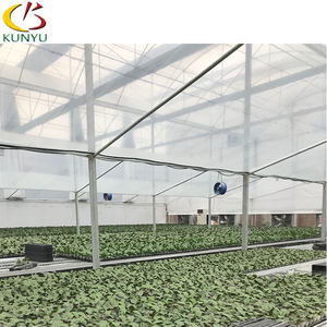 Zona tropicale Standard falena orchidea piantine di fiori Taiwan vaso di orchidee dendrobium serra con ombreggiatura <span class=keywords><strong>per</strong></span> la vendita - Product Image 4