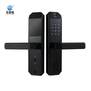 Biometric Fingerprint Door Locks Intelligent Electronic Lock F1 Fingerprint Verification With Password & RFID Door Lock