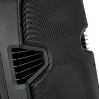 Altavoz Profesional de Audio de 600 W, Subwoofer Activo de 15 Pulgadas, 2 Vías, Karaoke, BT, DJ/PA, Juego de Altavoces con TWS/USB, Lector SD, FM, Control Remoto, Bocina
