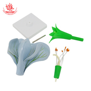 Modelo de flor de guisante, flor de guisante ampliada con ovario desmontable, flor de planta dicotiledónica para disección, enseñanza de biología - Product Image 2