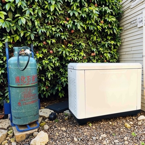 Generador de <span class=keywords><strong>Gas</strong></span> Silencioso para el Hogar de 12kw, Compatible con <span class=keywords><strong>Gas</strong></span> Natural y GLP, Energía de Respaldo de Doble Combustible, Alta Eficiencia, Arranque de 12V/24V CC - Product Image 2