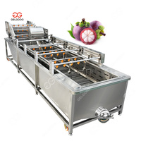 Transportband Salade Wasmachine Snijmachine Fruit En Groente Wassen Lijn