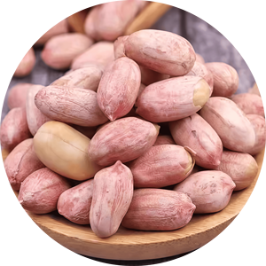 Arachides séchées de qualité supérieure Noyaux en vrac Grade d'exportation pour les importateurs mondiaux Non-OGM Directement de l'usine - Product Image 1
