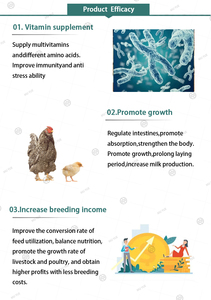 Supplément d'engraissement pour poulets de qualité alimentaire, vitamines pour la santé intestinale, additifs en poudre soluble pour la prise de poids, Muyue Broiler - Product Image 3