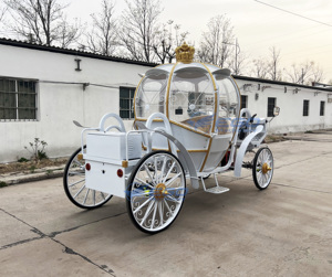 Carruaje de Lujo Real con Caballos, Decoración Eléctrica para Bodas, Luces LED, Tamaño Real, para 4-6 Personas, en Venta - Product Image 6