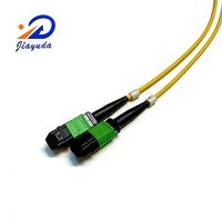 Heavy Duty 24 Fiber 2x MPO-MPO SM G.657A2 G.657A1 G.652D Telco Grade Low Loss Backbone Trunk Cable for 400G 800G Data Center