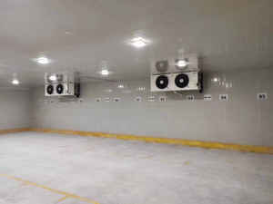 Cámara frigorífica de 600 metros cuadrados <span class=keywords><strong>Precio</strong></span> industrial Refrigerador Congelador Walk in Cooler Proyecto de sala de almacenamiento en frío para logística de alimentos - Product Image 4