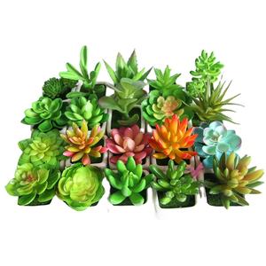 Juego de 4 <span class=keywords><strong>plantas</strong></span> suculentas <span class=keywords><strong>artificiales</strong></span>, miniplantas verdes surtidas para decoración interior del hogar <span class=keywords><strong>con</strong></span> macetas cuadradas de cerámica blanca - Product Image 3