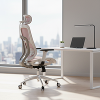 Chaise de bureau ergonomique haut de gamme à gravité zéro pour PC, chaise de jeu ergonomique en maille pour gamer