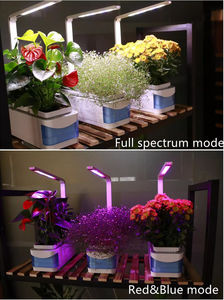 Maceta inteligente hidropónica para jardín, interior, <span class=keywords><strong>con</strong></span> <span class=keywords><strong>luz</strong></span> LED para cultivo - Product Image 5